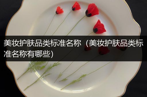 美妆护肤品类标准名称（美妆护肤品类标准名称有哪些）