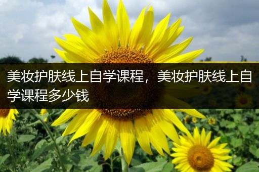 美妆护肤线上自学课程，美妆护肤线上自学课程多少钱