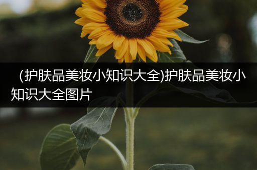 （护肤品美妆小知识大全)护肤品美妆小知识大全图片