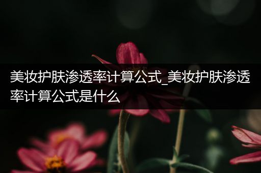 美妆护肤渗透率计算公式_美妆护肤渗透率计算公式是什么