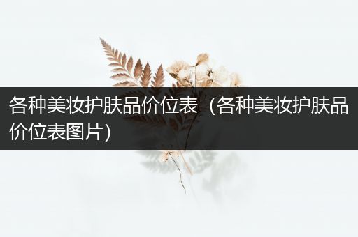 各种美妆护肤品价位表（各种美妆护肤品价位表图片）