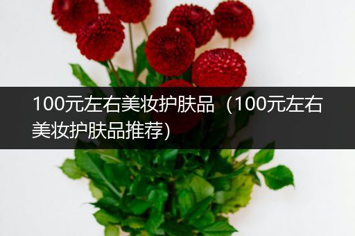 100元左右美妆护肤品（100元左右美妆护肤品推荐）