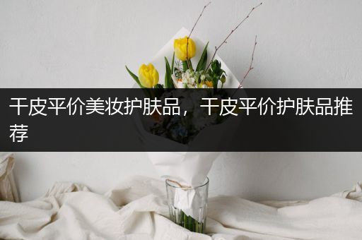 干皮平价美妆护肤品，干皮平价护肤品推荐