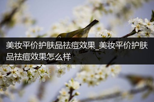 美妆平价护肤品祛痘效果_美妆平价护肤品祛痘效果怎么样