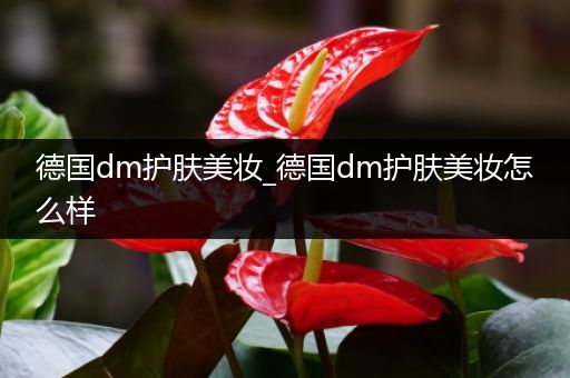 德国dm护肤美妆_德国dm护肤美妆怎么样