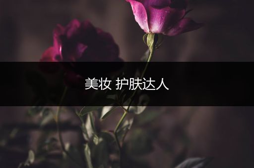 美妆 护肤达人