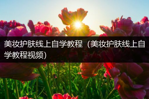 美妆护肤线上自学教程（美妆护肤线上自学教程视频）