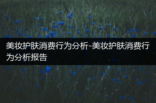 美妆护肤消费行为分析-美妆护肤消费行为分析报告