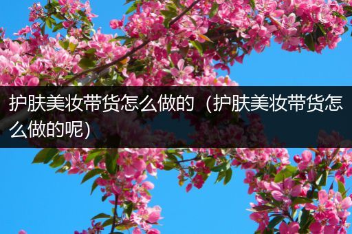 护肤美妆带货怎么做的（护肤美妆带货怎么做的呢）