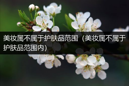 美妆属不属于护肤品范围（美妆属不属于护肤品范围内）